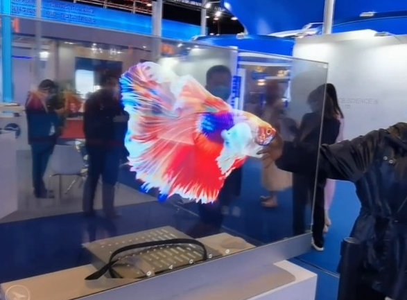 長(zhǎng)沙LED顯示屏公司,長(zhǎng)沙LED顯示屏廠家,長(zhǎng)沙小間距LED顯示屏,長(zhǎng)沙電子顯示屏,長(zhǎng)沙LED異形屏,長(zhǎng)沙LED透明屏,長(zhǎng)沙LED顯示屏,長(zhǎng)沙LED大屏,湖南LED顯示屏公司,湖南電子顯示屏,湖南全彩顯示屏,湖南LED顯示屏,湖南LED大屏