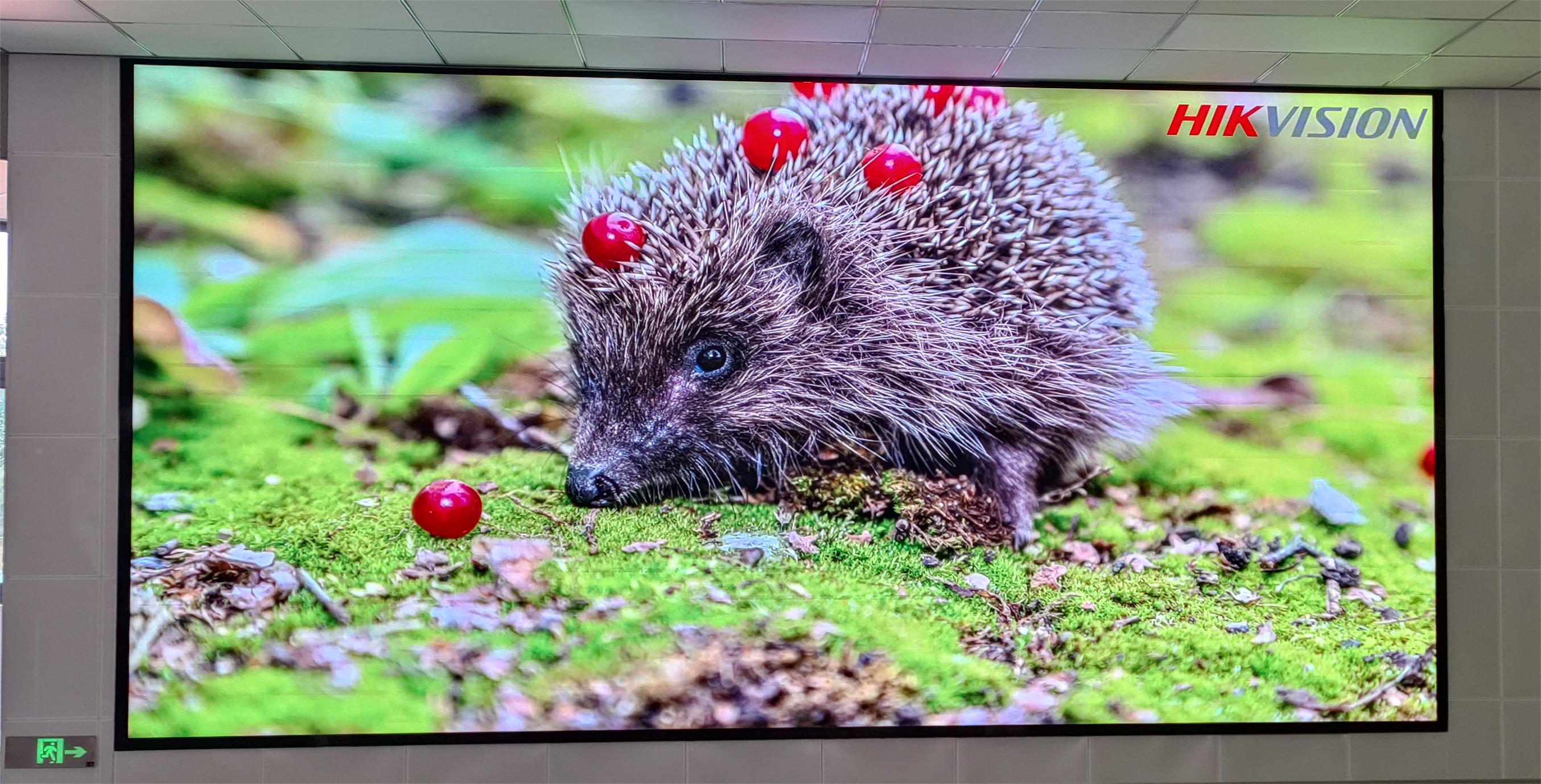 長沙LED顯示屏公司,長沙LED顯示屏廠家,長沙小間距LED顯示屏,長沙電子顯示屏,長沙LED異形屏,長沙LED透明屏,長沙LED顯示屏,長沙LED大屏,湖南LED顯示屏公司,湖南電子顯示屏,湖南全彩顯示屏,湖南LED顯示屏,湖南LED大屏
